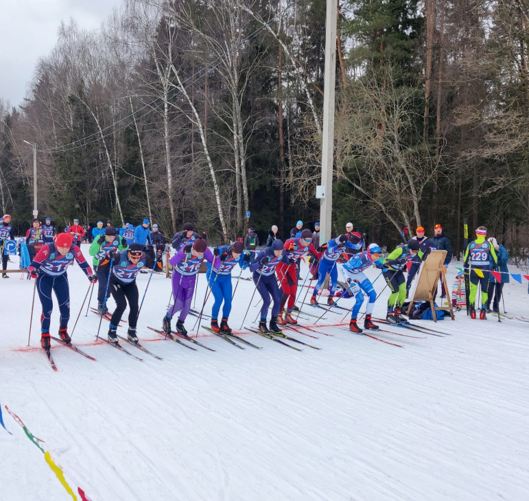 Лыжная гонка пройдет на базе «Лесная»