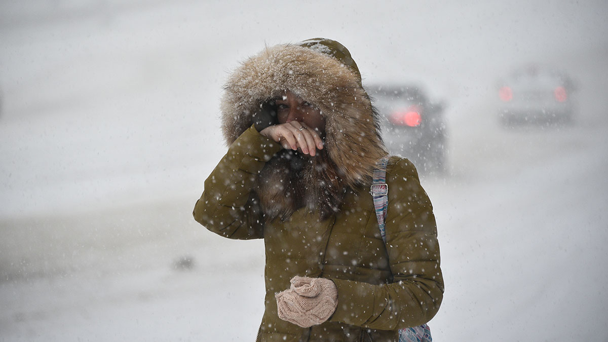 Мокрый снег и ветер ожидаются в Москве
