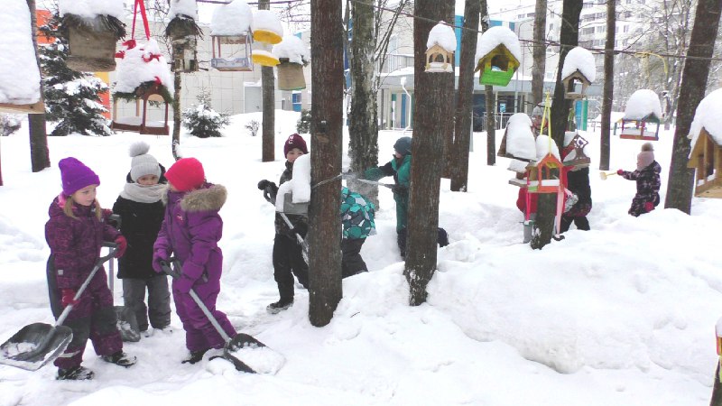 Воспитанники гимназии почистили кормушки от снега